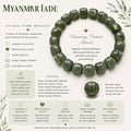 Natural Myanmar Jade Bracelet ( 10mm )