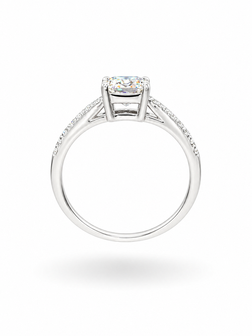 1CT Emerald-cut Moissanite Pavé band ring