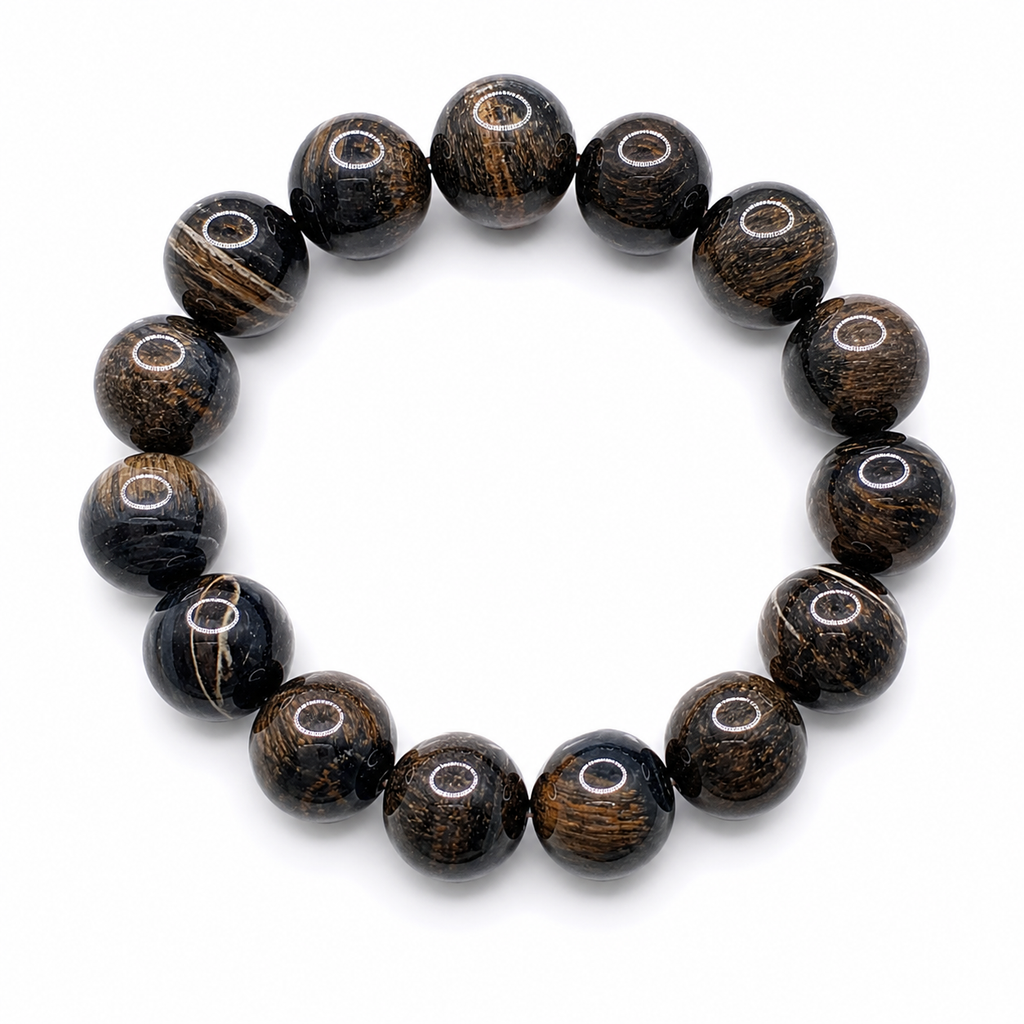 Natural Petrified Wood bracelet (14 mm )