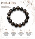 Natural Petrified Wood bracelet (14 mm )