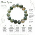 Natural Moss Agate Bracelet ( 14mm )