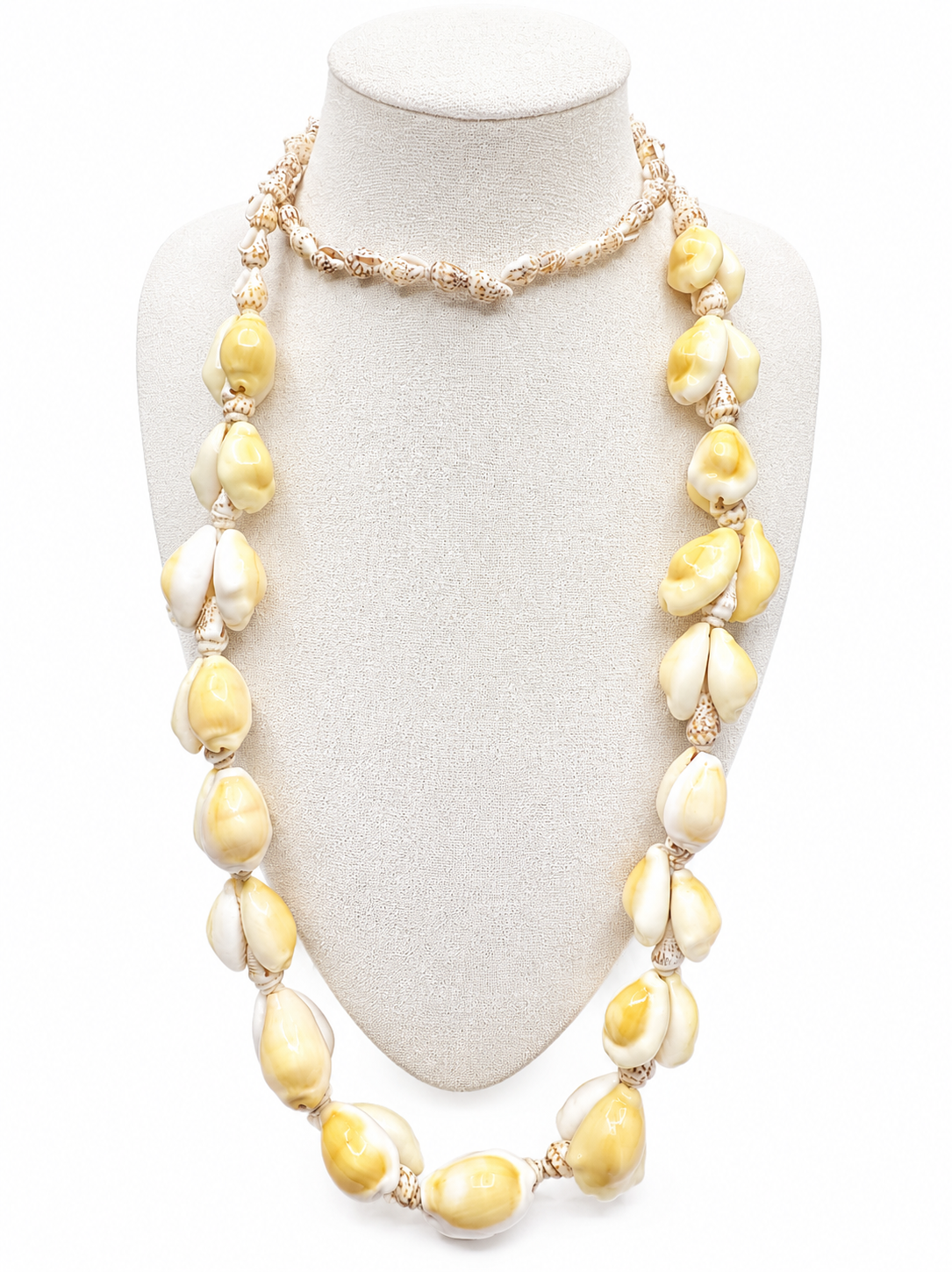 Tropical Cowrie Shell Necklace
