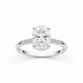 Artik 3CT Oval-cut Moissanite Hidden Halo Pavé band ring